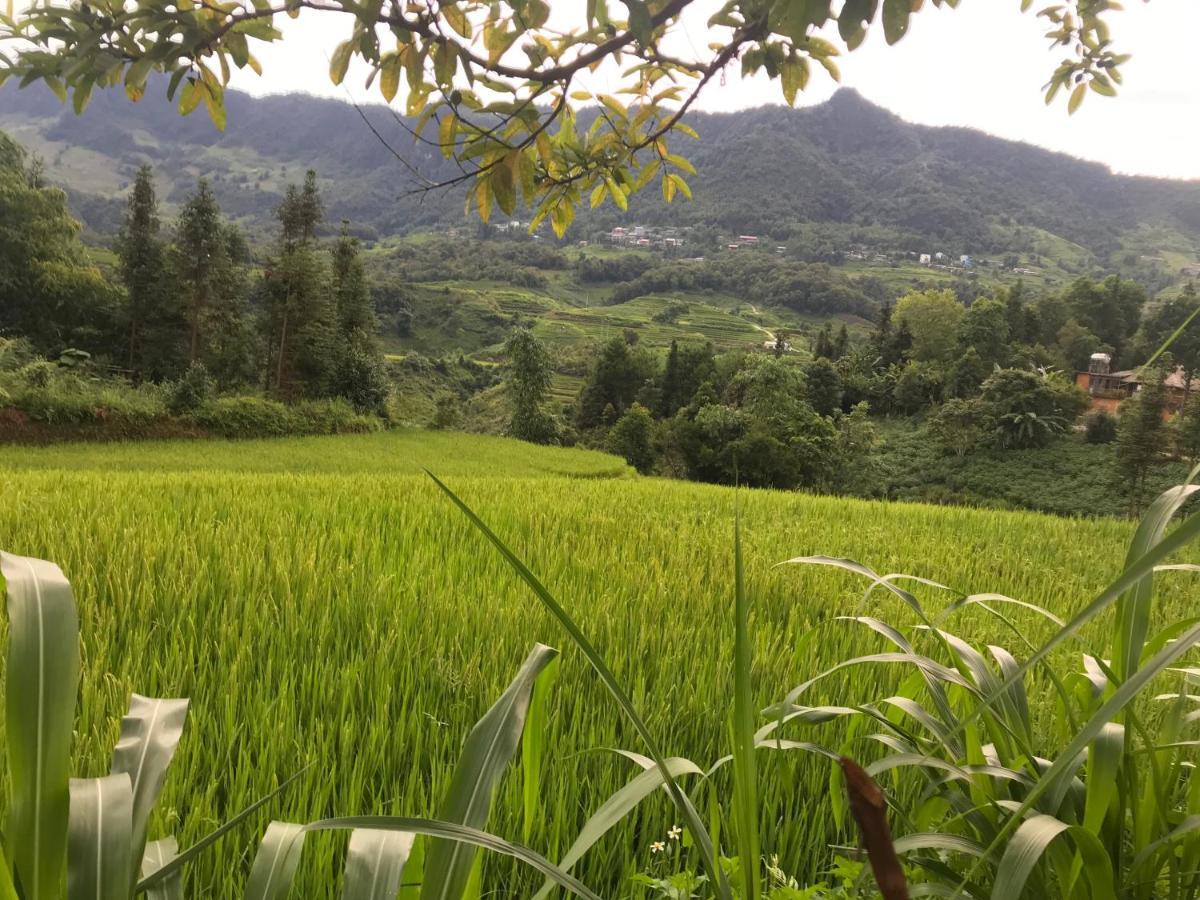 Apartament Tam Coc Eco House Ninh Binh Zewnętrze zdjęcie