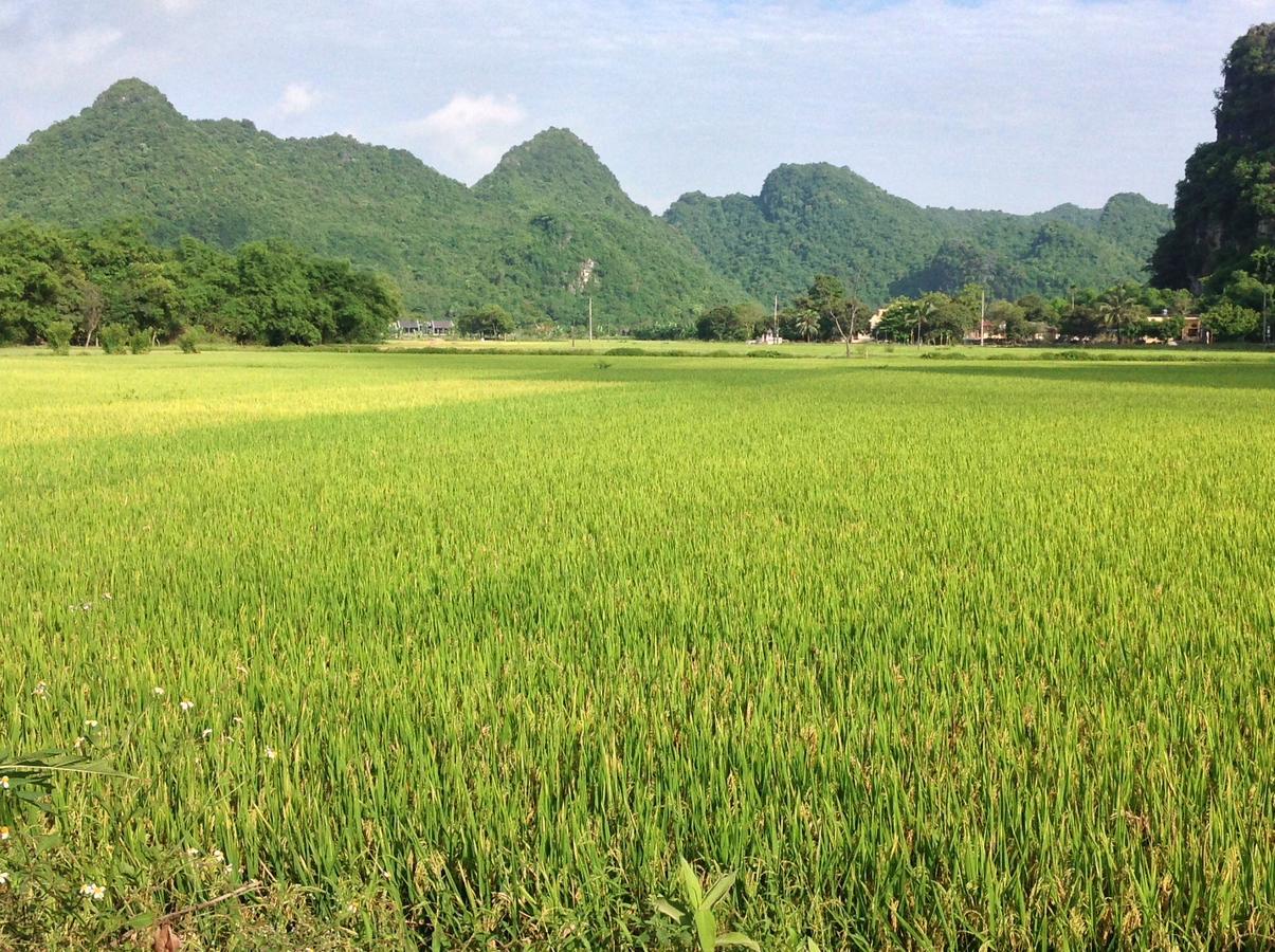 Apartament Tam Coc Eco House Ninh Binh Zewnętrze zdjęcie