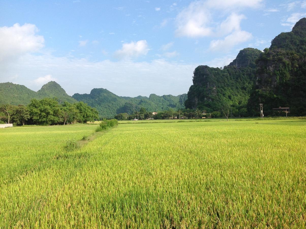 Apartament Tam Coc Eco House Ninh Binh Zewnętrze zdjęcie