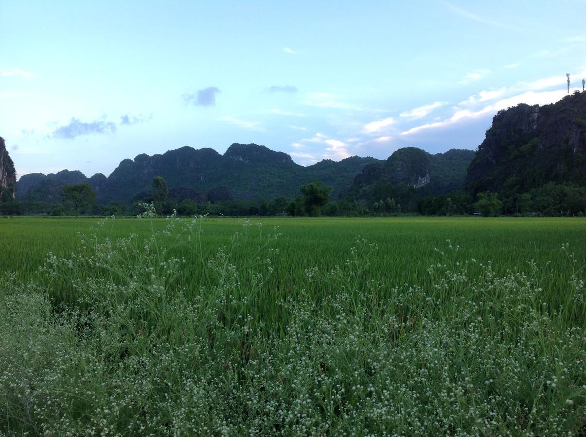 Apartament Tam Coc Eco House Ninh Binh Zewnętrze zdjęcie