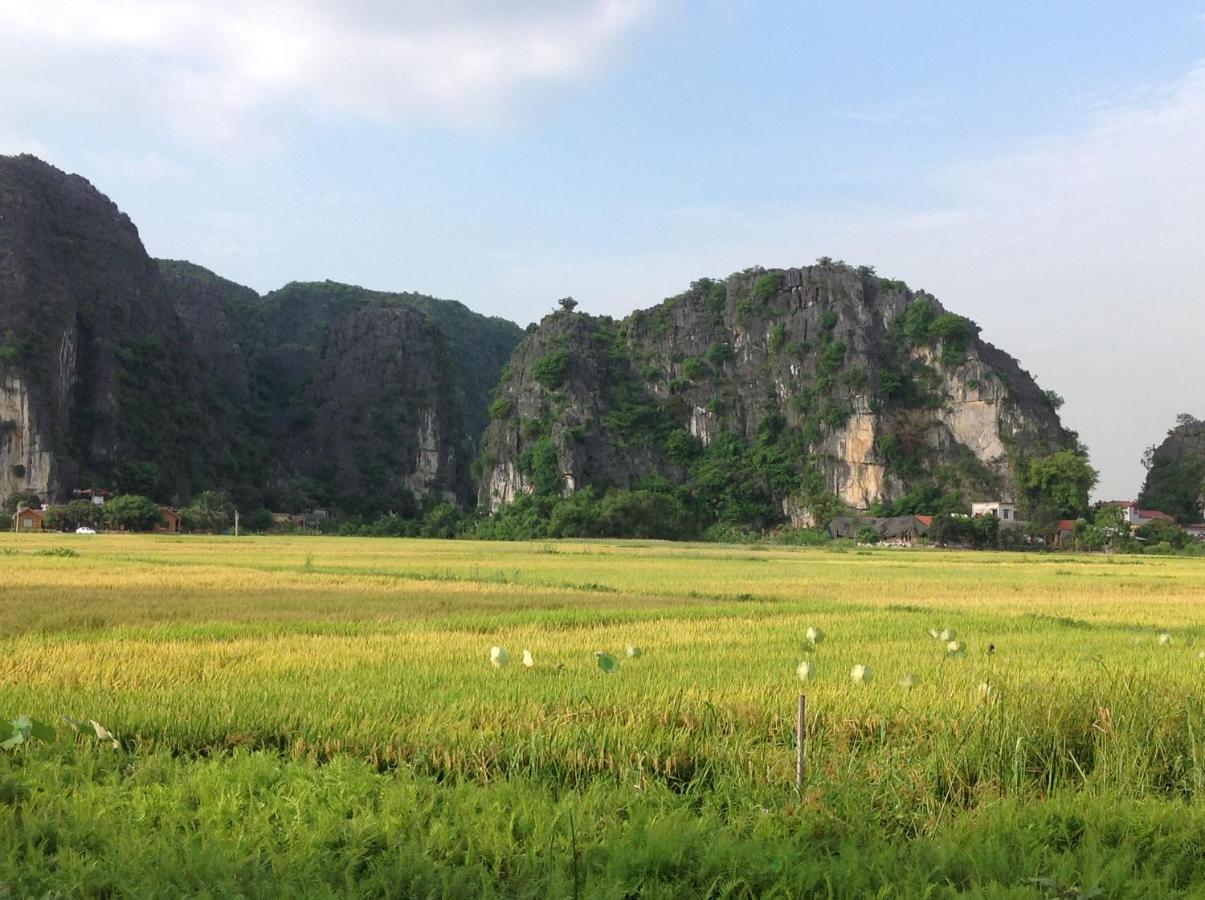 Apartament Tam Coc Eco House Ninh Binh Zewnętrze zdjęcie