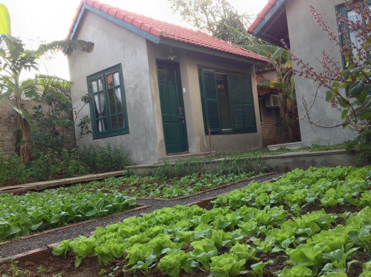 Apartament Tam Coc Eco House Ninh Binh Zewnętrze zdjęcie